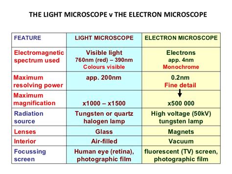 Toradh íomhá ar Light Microscope vs Electron Microscope