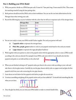 Image result for DNA Model Worksheet