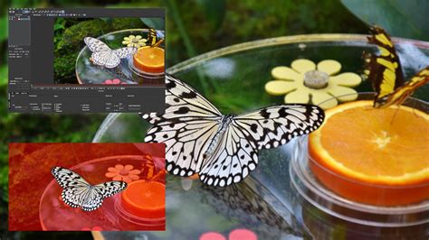 Image result for Magic Com Sharp