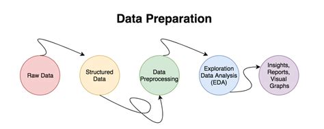Steps for Data Preprocessing に対する画像結果