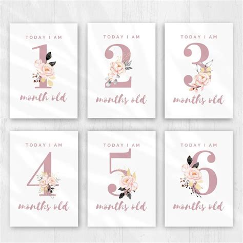 Afbeeldingsresultaten voor Baby Milestone Cards