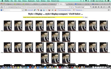 Image result for CSS Style Code Display