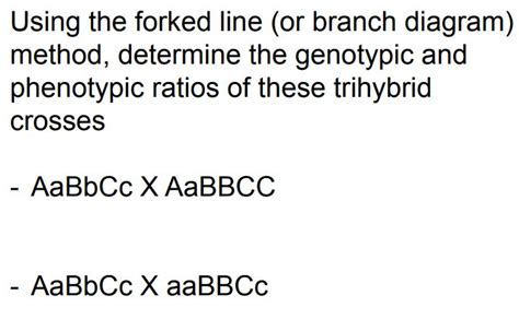 Image result for How to Make a Branch Diagram for Phenotypes