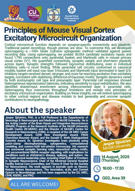 Image result for Mouse Visual Cortex Organization V1