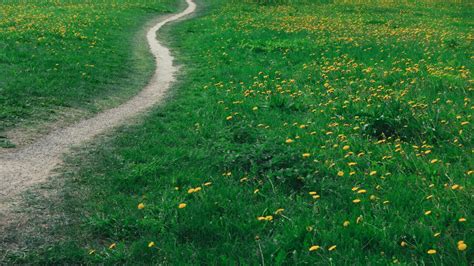 GIF Index SQL に対する画像結果