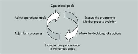 Image result for Management System Structure Cycle