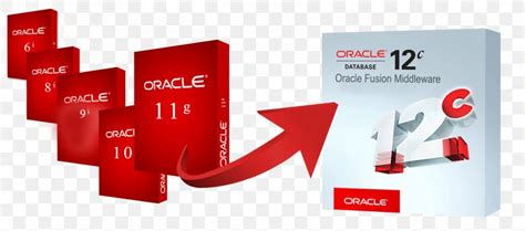 Image result for Oracle 10G Developer Logo