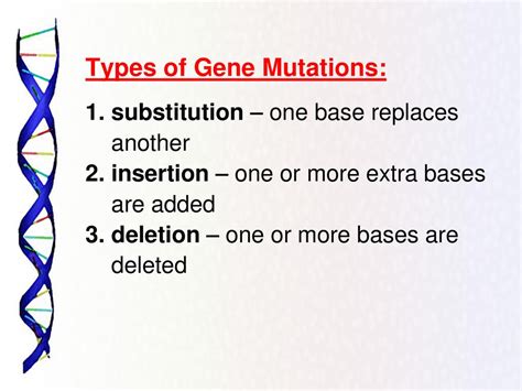 Types Of Genetic Mutations