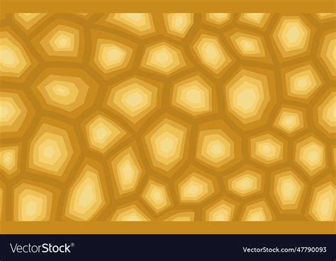 Image result for Royalty Free Turtle Shell Patterns