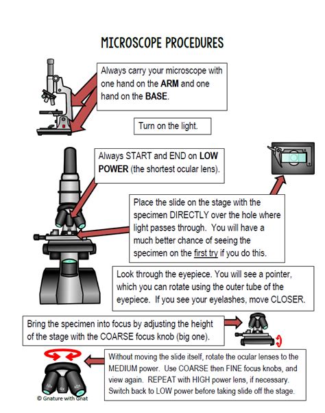 Basic Microscope Setup and Use に対する画像結果