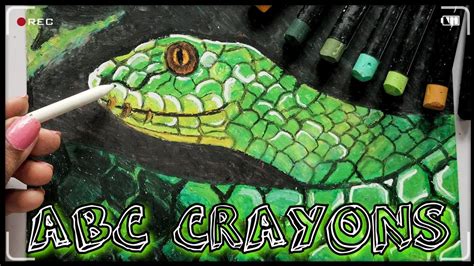 Image result for Grade 5 Green Python