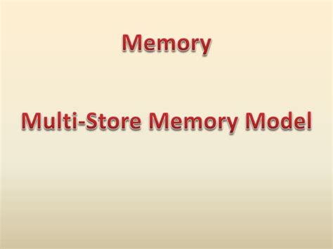 Image result for Multi-Store Model of Memory