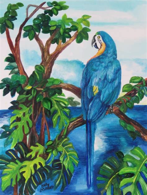 Bildergebnis für Ruby Macaw Art