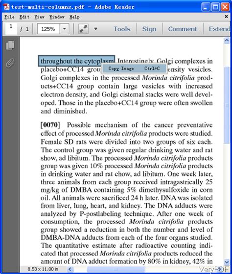 Image result for Is PDF File Text