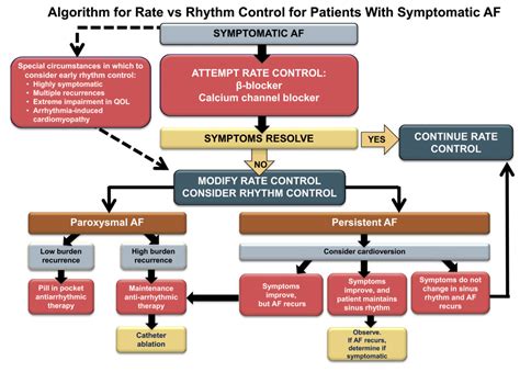 Atrial Fibrillation Rate Control に対する画像結果