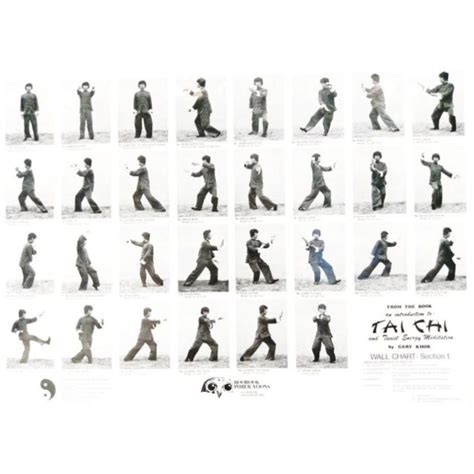 Tai Chi Chart に対する画像結果