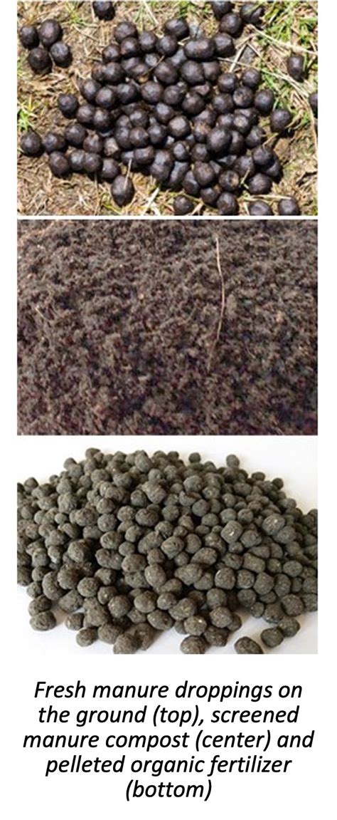 Image result for Composted Manure without Label in Packaging