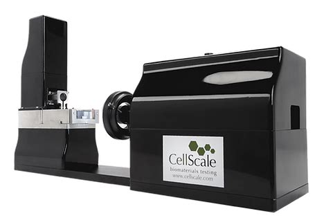 Micro Nuke Test に対する画像結果