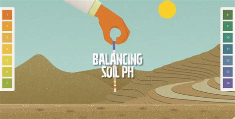 Image result for How to Check and Balance Ph in Soil