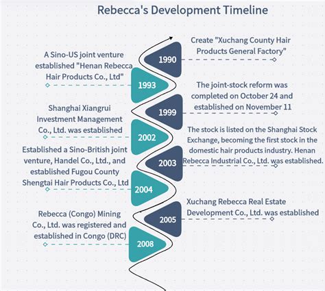 Image result for Timeline Look Like