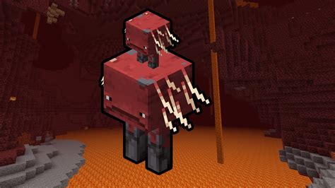 Image result for How to Tame Strider