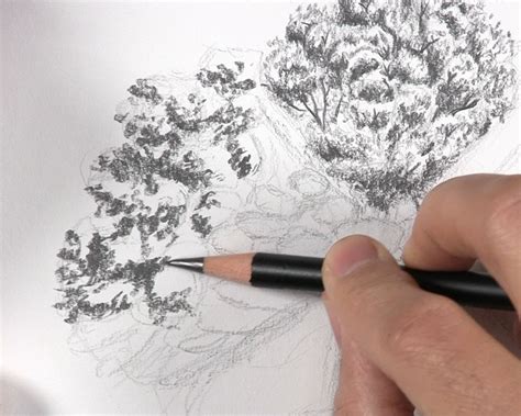 Image result for How to Draw a Tree with Leaves