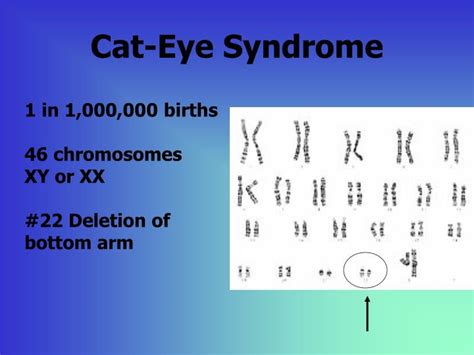 Image result for Chat Bot UI React Native