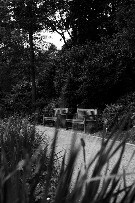 Quiz Wallpaper に対する画像結果