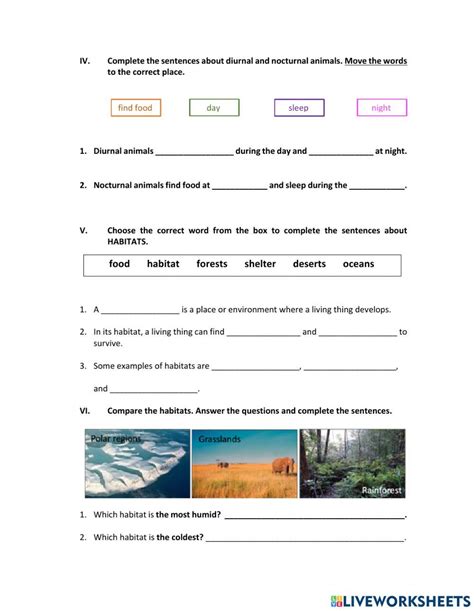 Toradh íomhá ar Problem Statement Science Exam Worksheet
