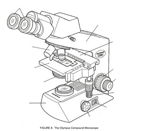 Image result for Compound Microscope Lens Diagram