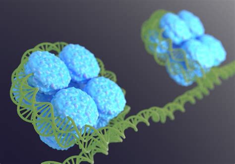 Image result for Gene Expression DNA 3D