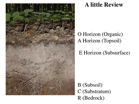 Simple Random Sampling of Soil に対する画像結果