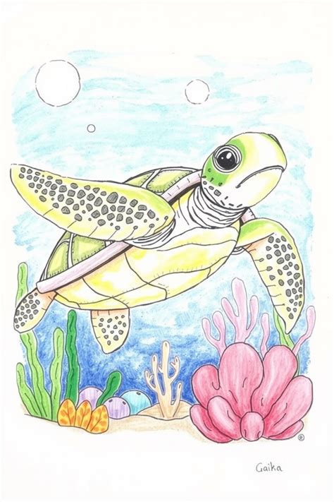 Image result for Turtle Drawings to Draw