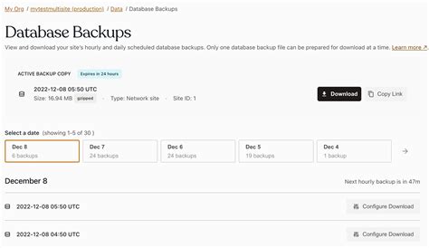 Backup Database UI に対する画像結果