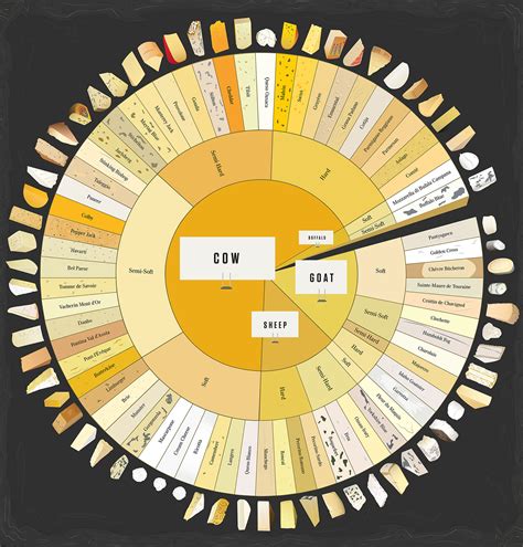 Image result for Different Types Cheese List