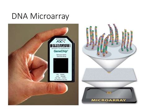 Bildergebnis für Damaged Microarray