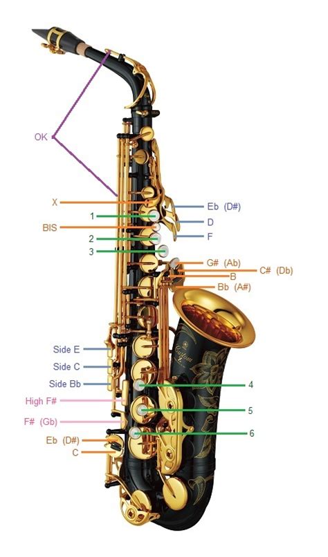 Image result for What Does a Saxophone Sound Like