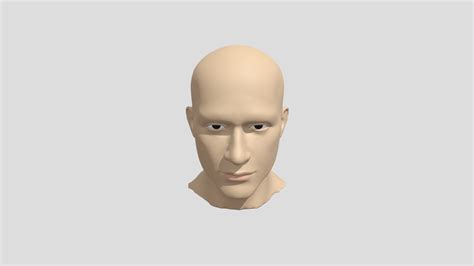 Image result for Base Face Model