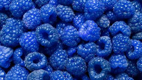 Toradh íomhá ar How to Make a Blue Raspberry Color with Food Coloring