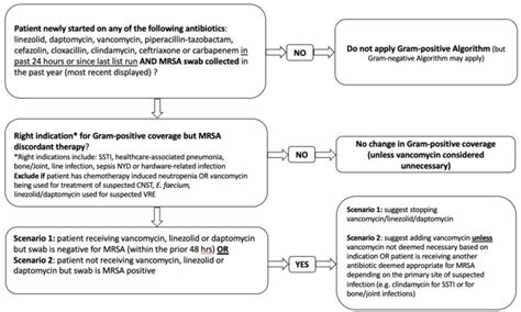 Image result for Gram-positive Algorithm