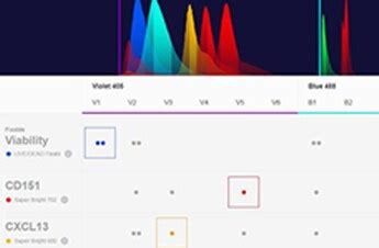 Image result for Flow Cytometry Panel