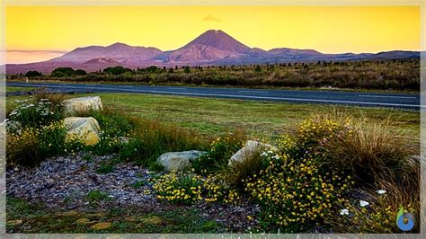 Image result for Cell Aesthetic Notes