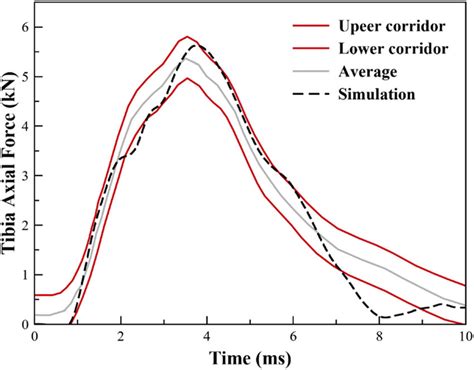 Image result for Prediction vs Simulation Drawing