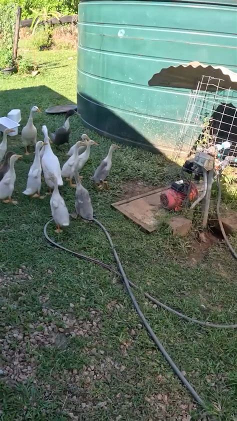 Image result for Who Is Fran From Back 2 Basics