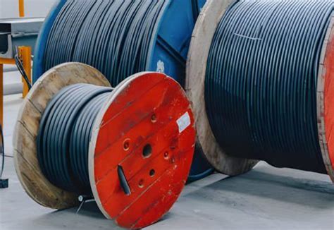 Master Python Cable に対する画像結果