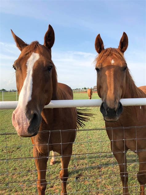 Image result for Facebook Loading Interface Image