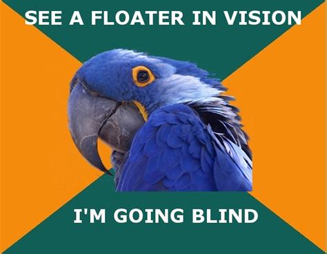 Image result for I'm Going Blind Meme