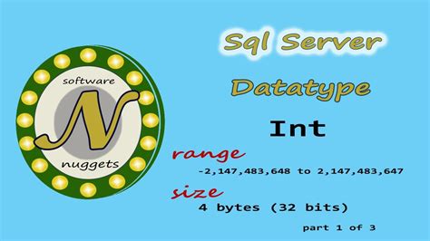 Toradh íomhá ar SQL Int Sizes