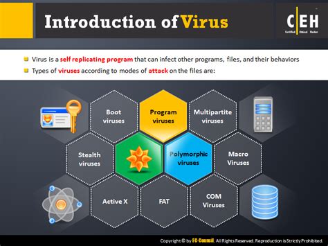 Image result for Code Red Computer Virus Owner