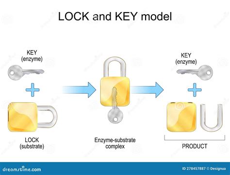 Image result for Key Lock Mechanism